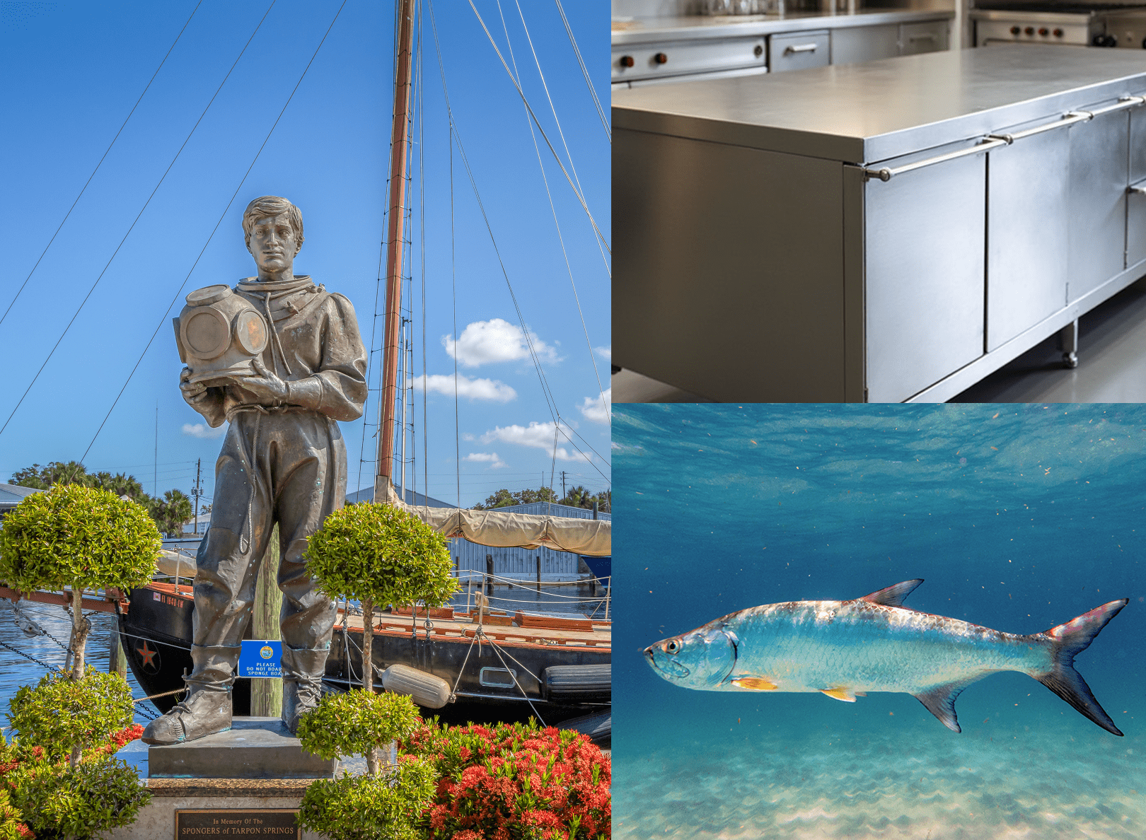 What is Tarpon Stainless Fabricators?